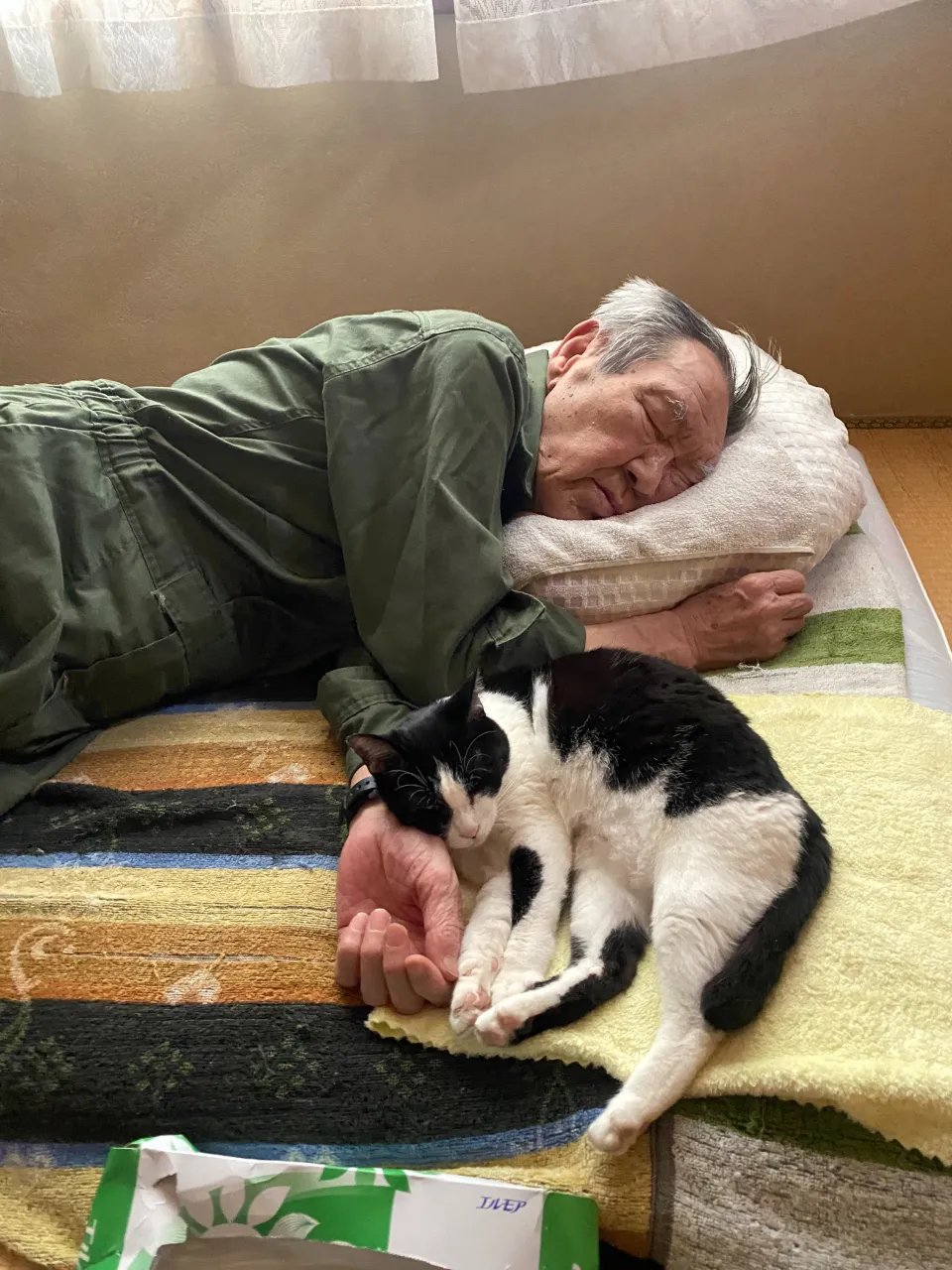 金😸10歳♀