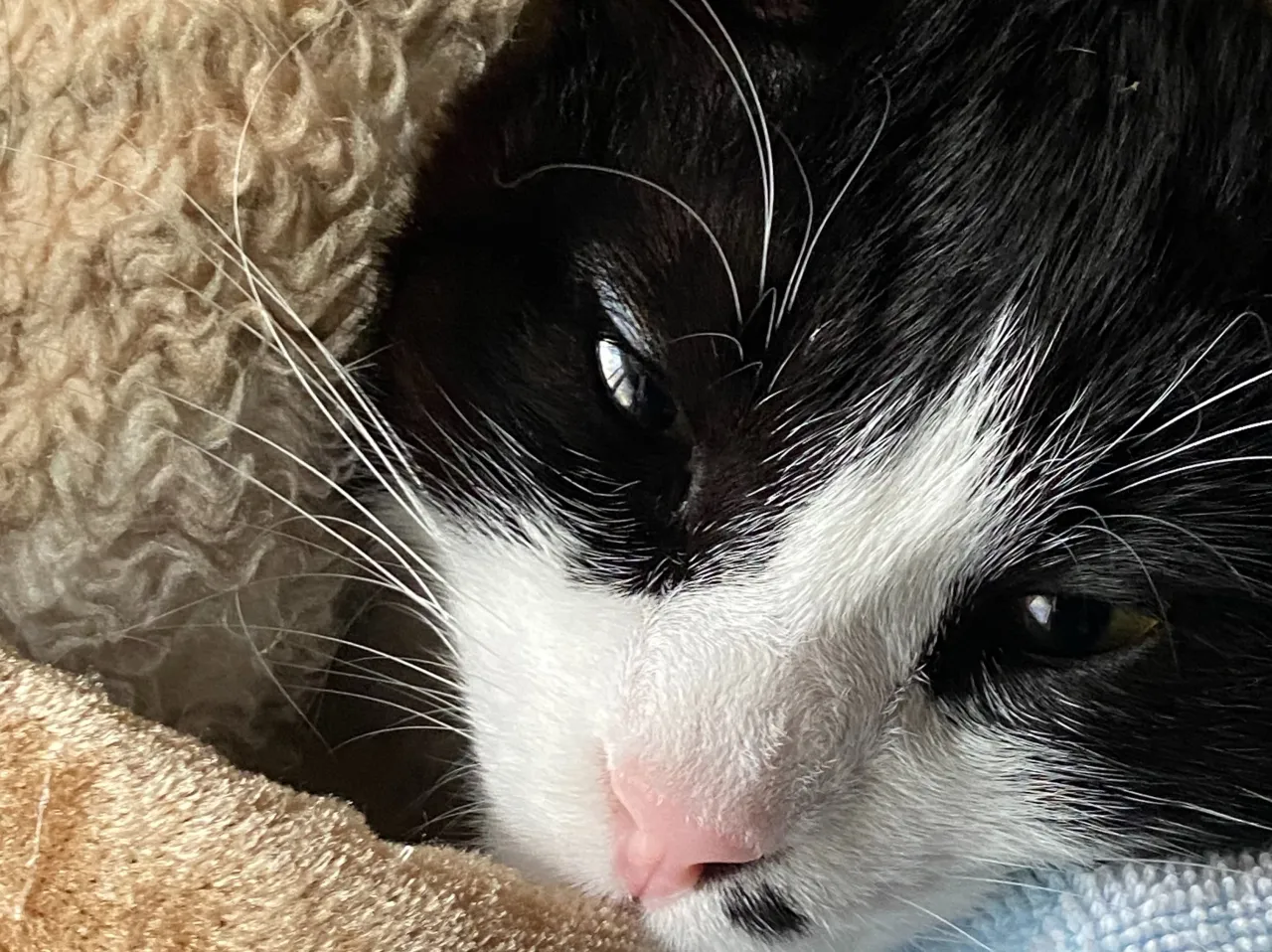 銅はどれでしょうか‼️😸
