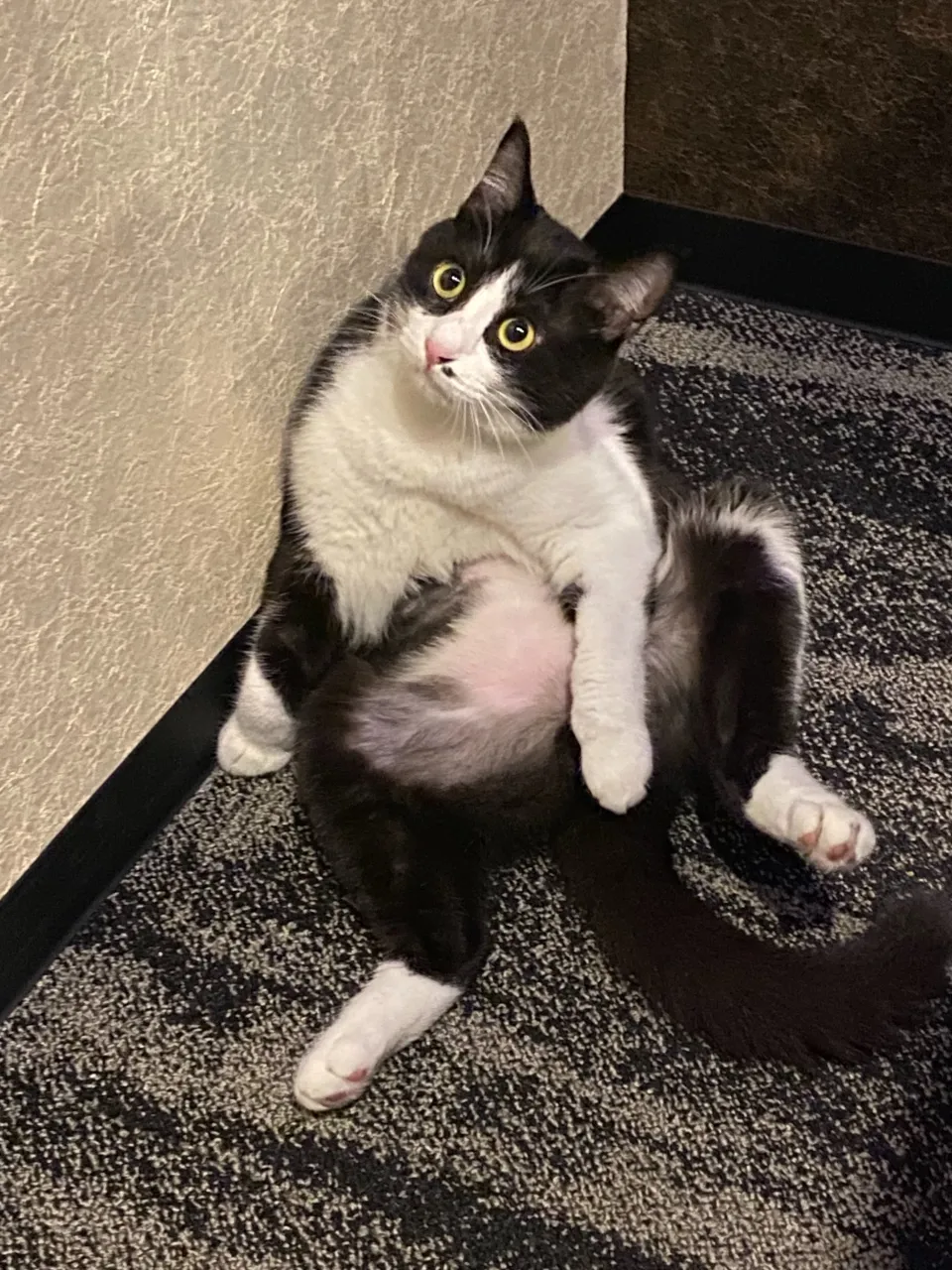 おっさん銅😸