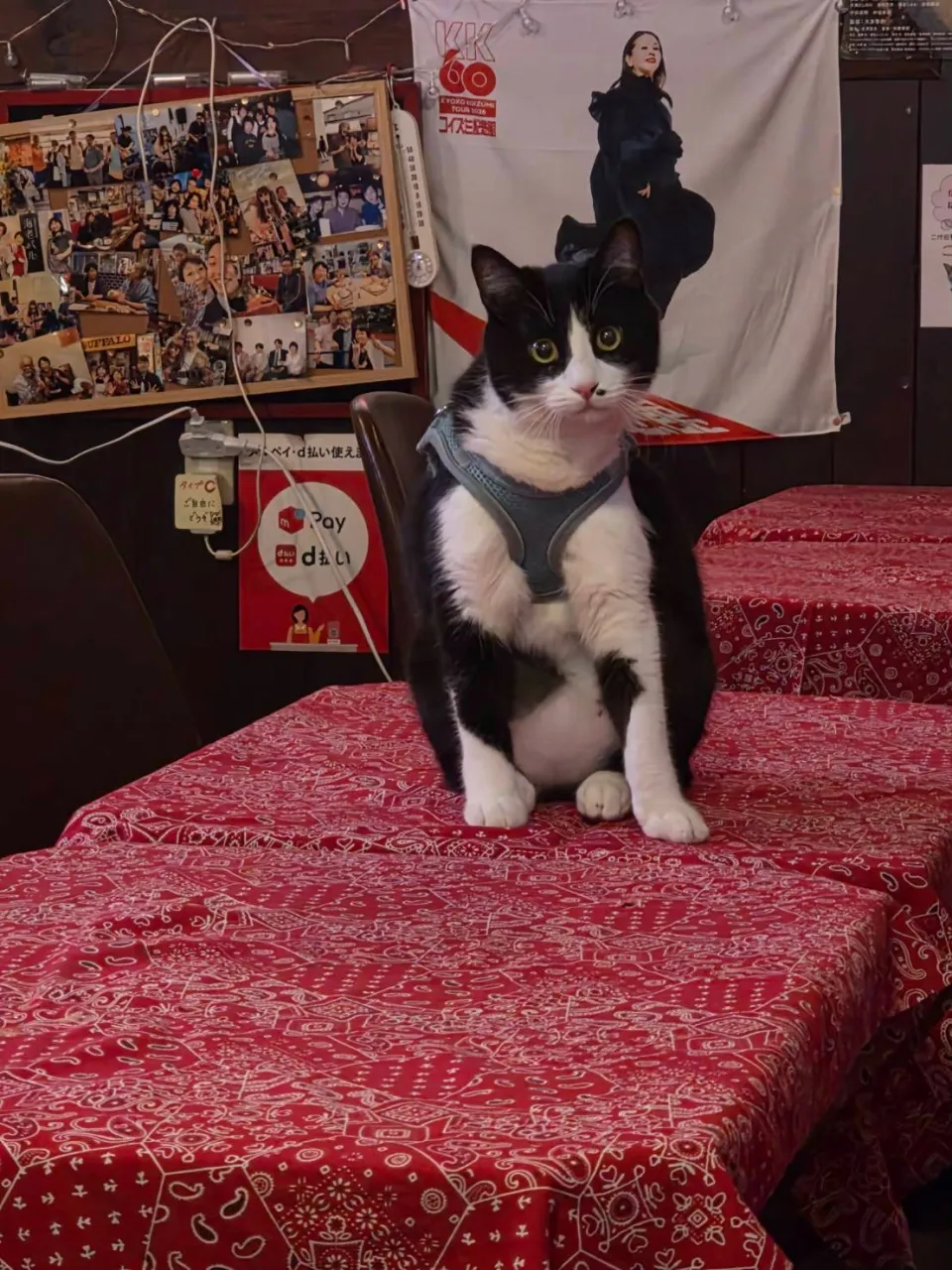 おっさん銅😸