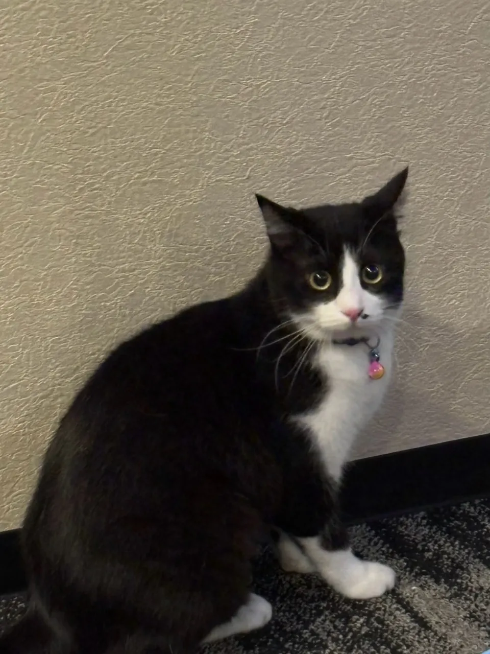 おっさん銅😸