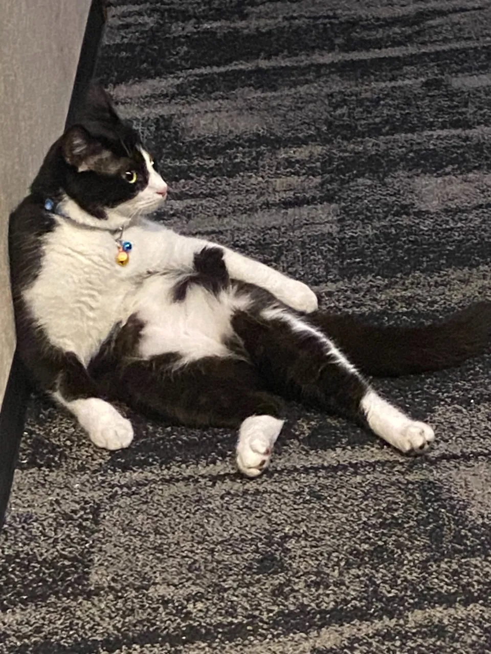 おっさん銅😸