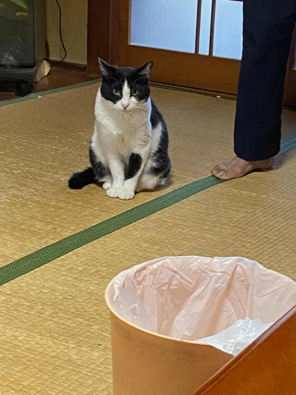実家にいる金😸