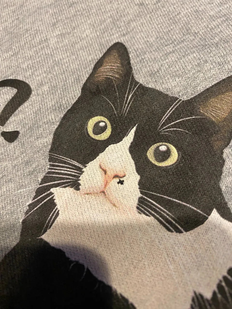 ハチワレ😸はちわれ😸Hachiware😸だらけ（まだまだあり...