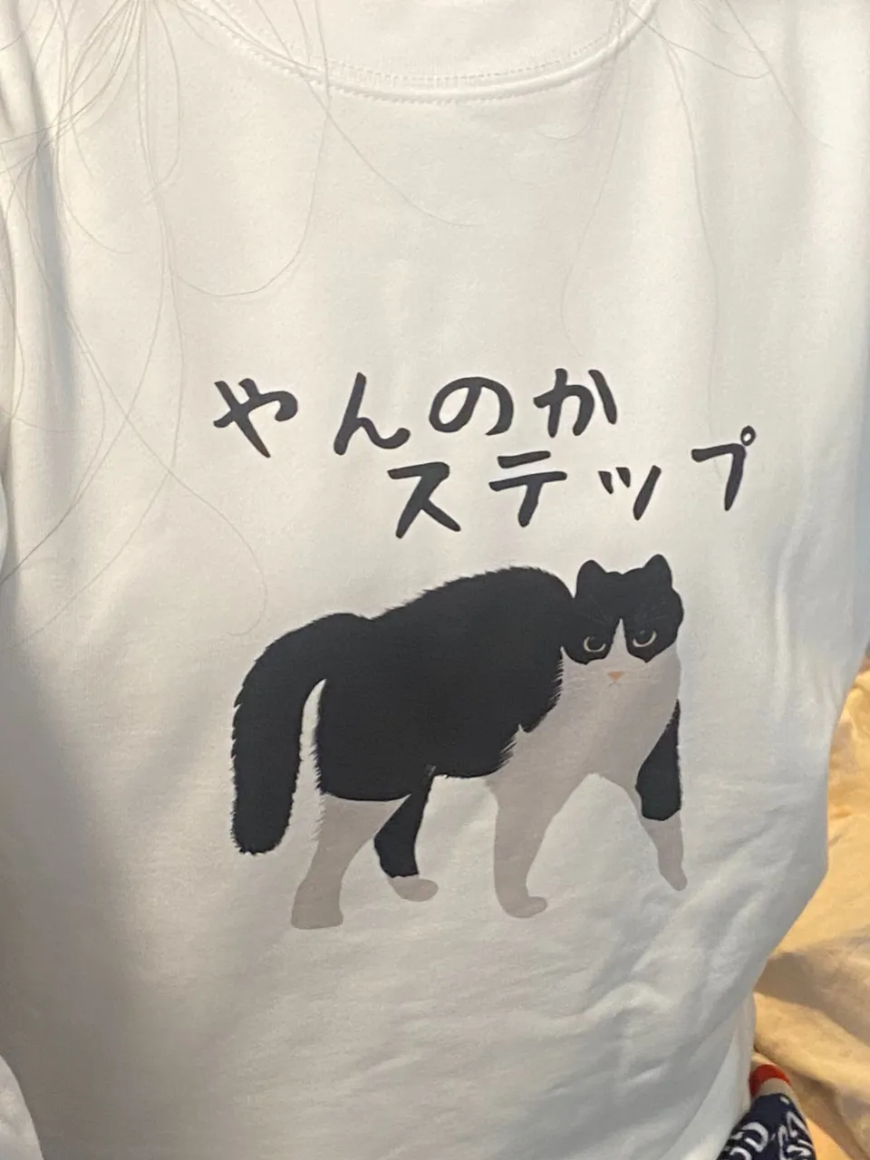 ハチワレ😸はちわれ😸Hachiware😸だらけ（まだまだあり...