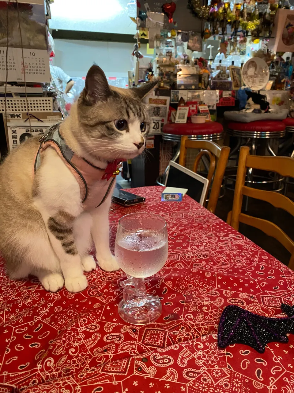 こよみちゃん😻美しすぎる😽
