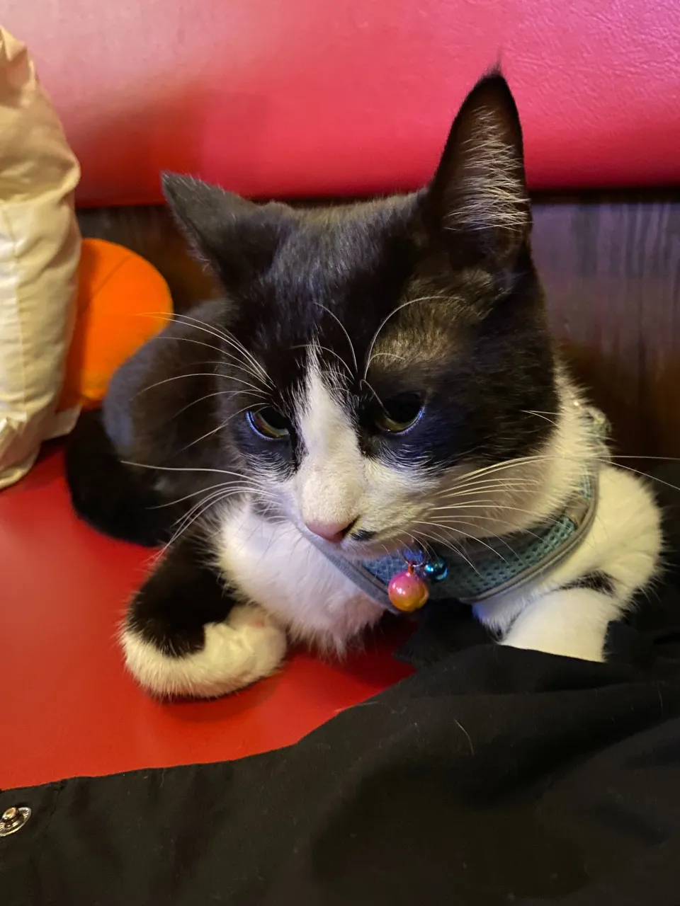 こよみちゃん😻美しすぎる😽