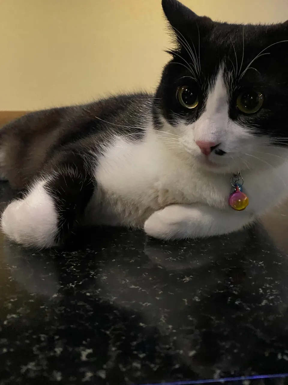 こよみちゃん😻美しすぎる😽