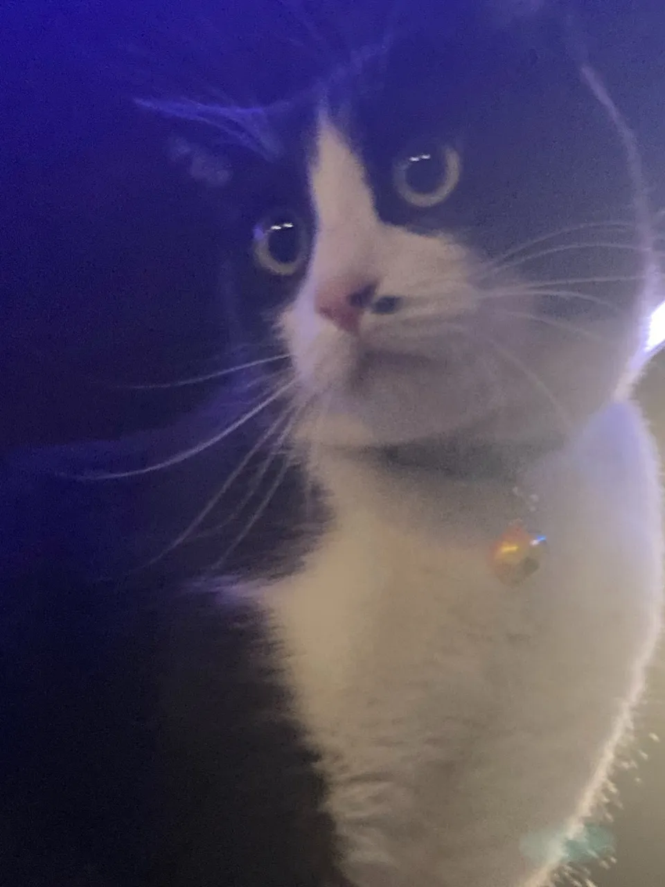 進撃の銅パート2😸