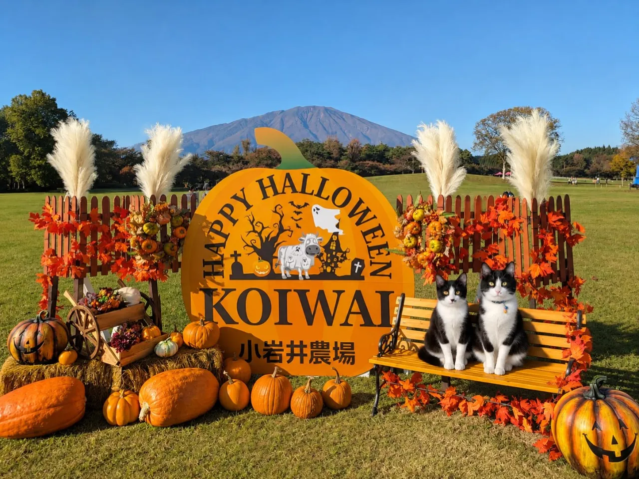 ハッピーハロウィン🎃👻🧟🧟‍♀️