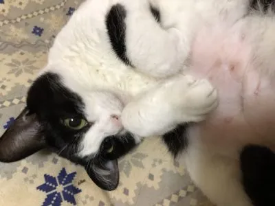 金ちゃん♥︎