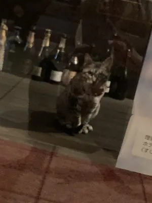 本日20:00~オープンです！